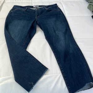 Ann Taylor LOFT Jeans